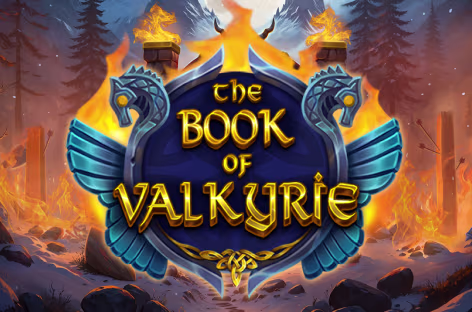Игра:The Book of Valkyrie